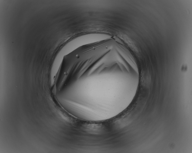 X0000089430449200707131848