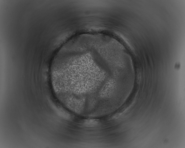 X0000089430451200707131848