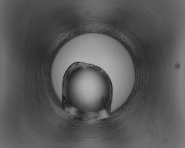 X0000089430452200707131848