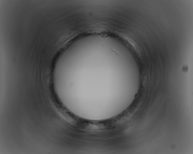 X0000089430455200707131848