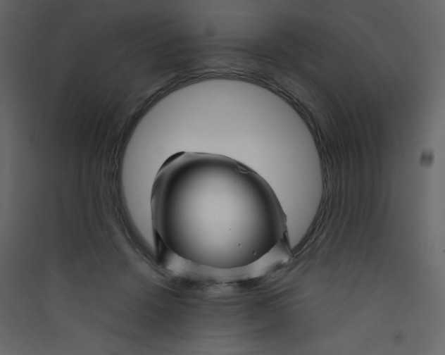 X0000089430456200707131848