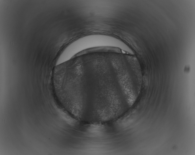 X0000089430458200707131848