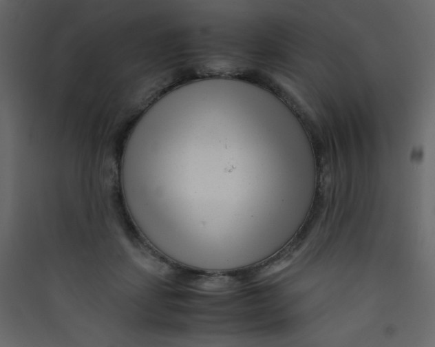 X0000089430459200707131848