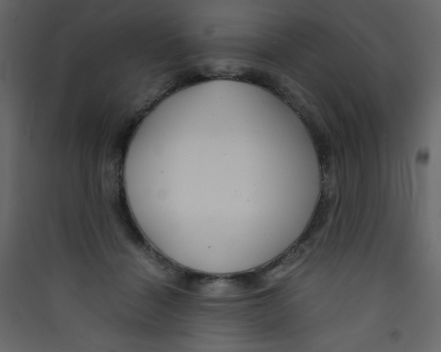 X0000089430460200707131848