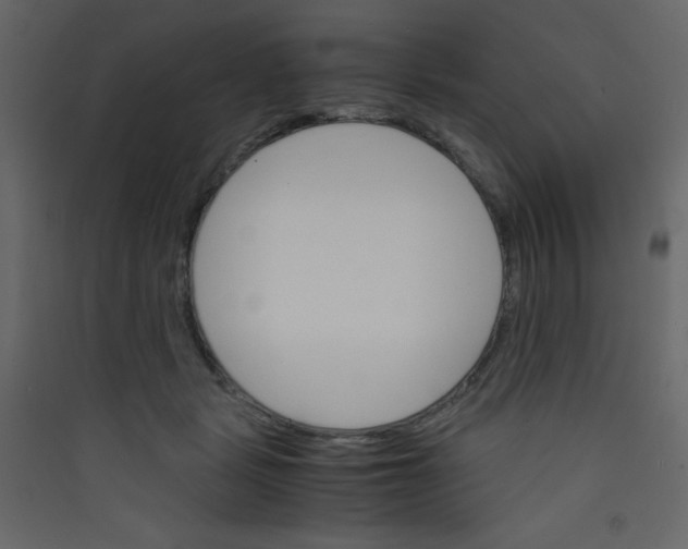 X0000089430461200707131848