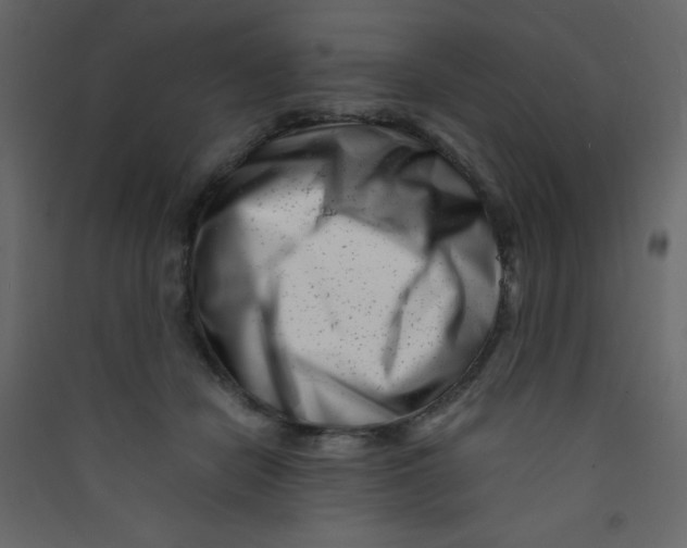 X0000089430462200707131848