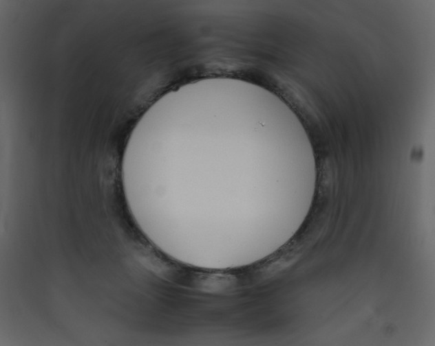 X0000089430463200707131848