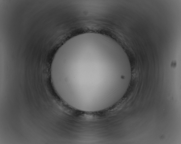 X0000089430464200707131848