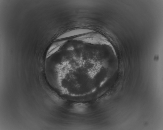 X0000089430465200707131848