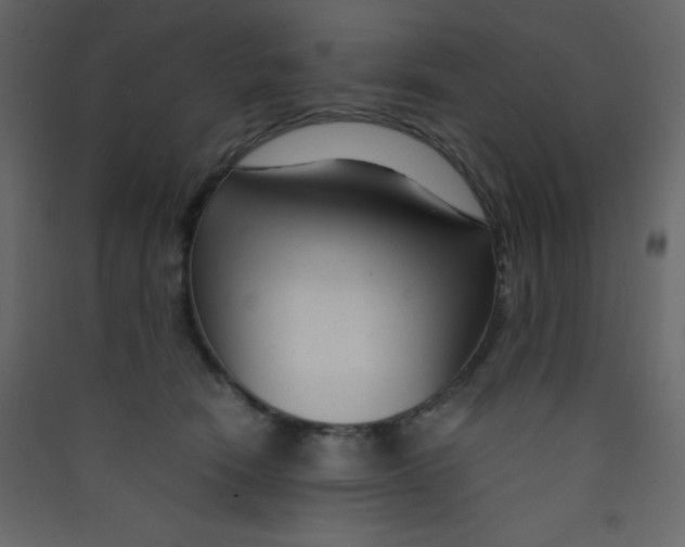 X0000089430466200707131848