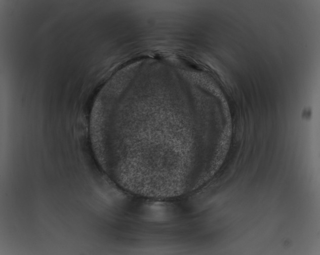 X0000089430467200707131848