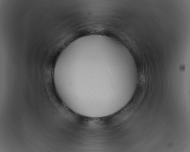 X0000089430468200707131848