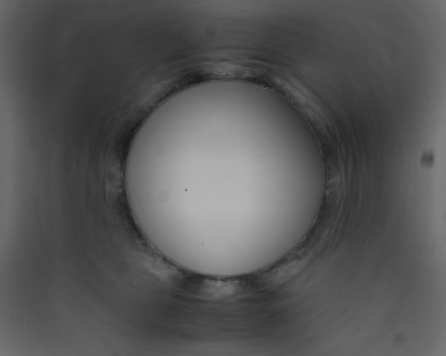 X0000089430469200707131848