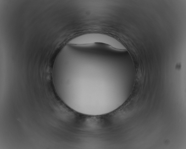 X0000089430470200707131848