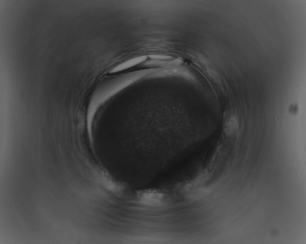 X0000089430471200707131848
