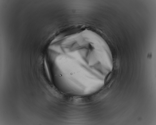 X0000089430472200707131848