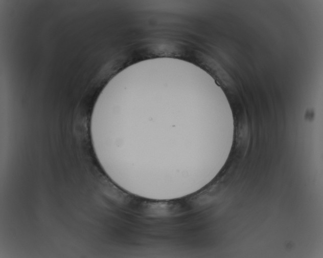 X0000089430473200707131848