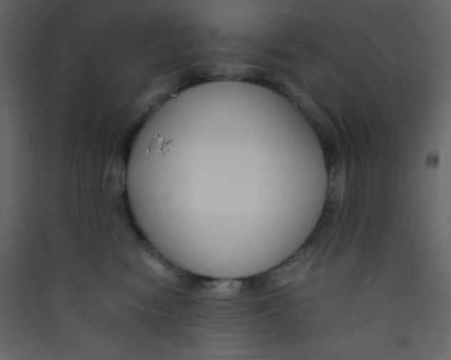 X0000089430474200707131848