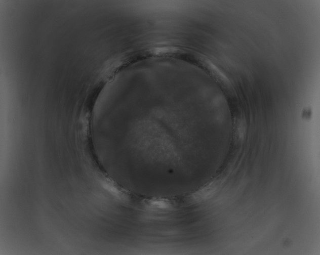 X0000089430475200707131848
