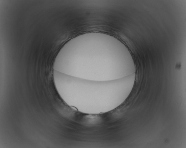 X0000089430477200707131848