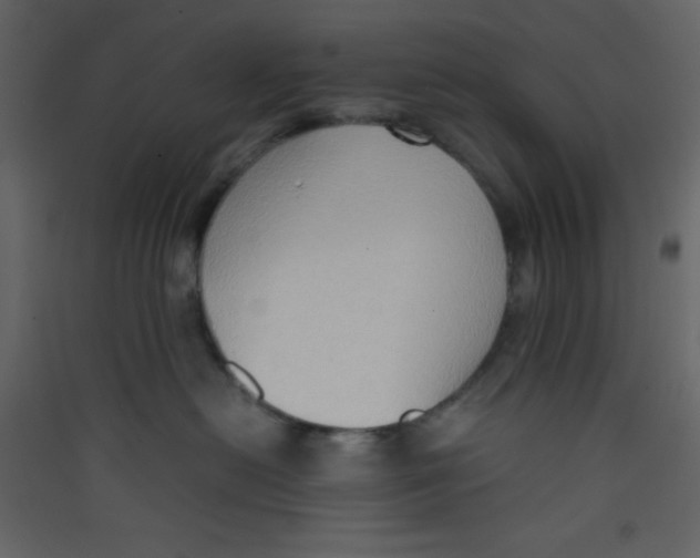 X0000089430478200707131848
