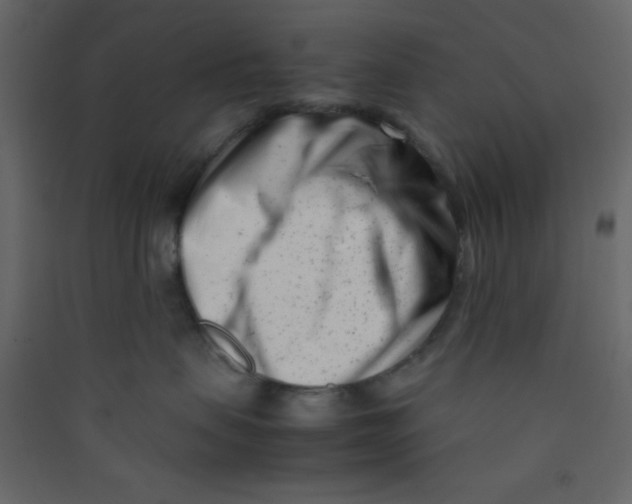 X0000089430479200707131848