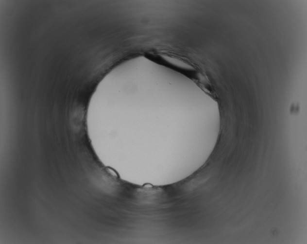 X0000089430480200707131848
