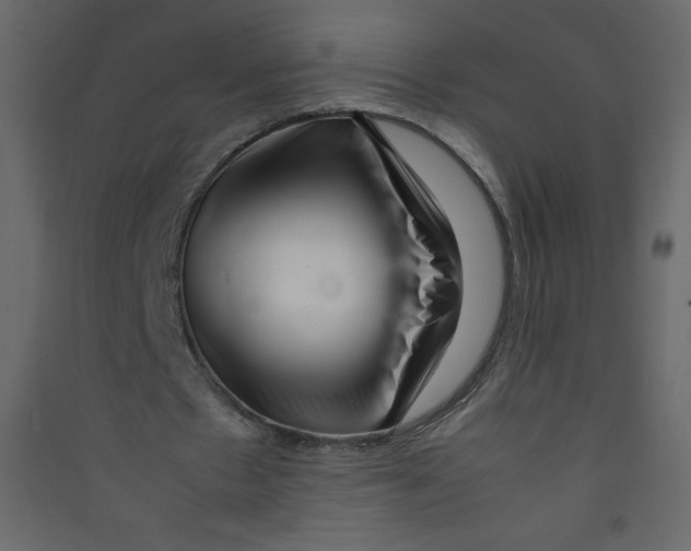 X0000089430481200707131847