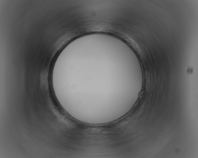 X0000089430482200707131847