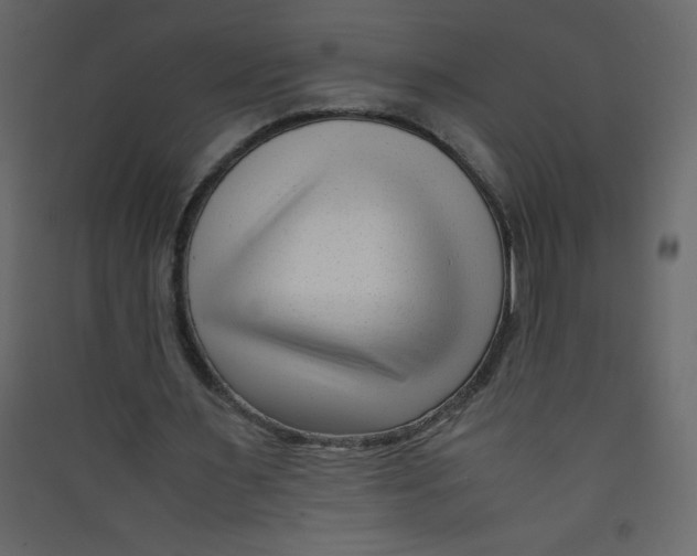 X0000089430483200707131847