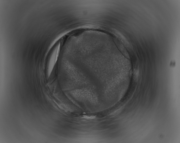 X0000089430484200707131847