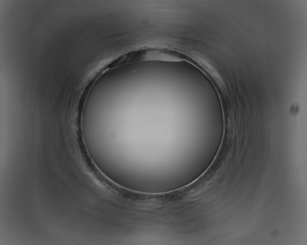 X0000089430485200707131847