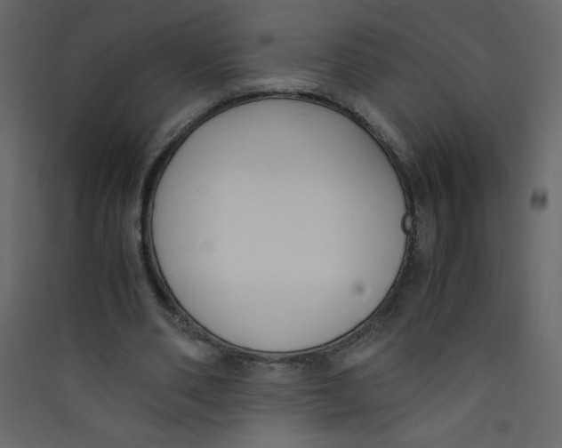 X0000089430486200707131847