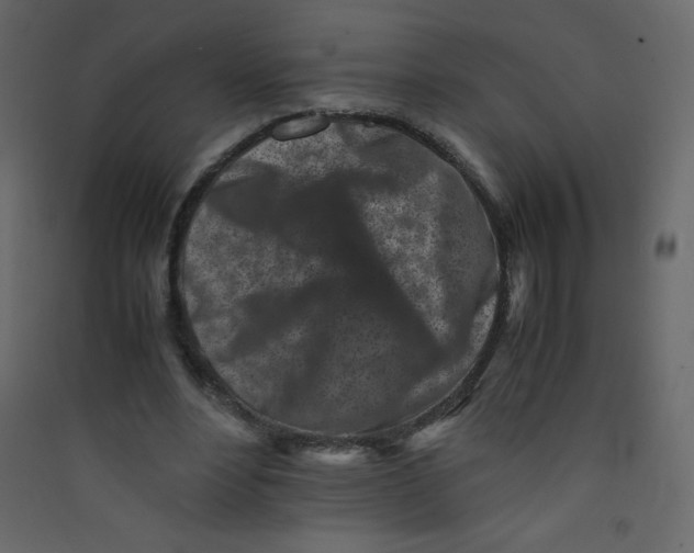 X0000089430488200707131847
