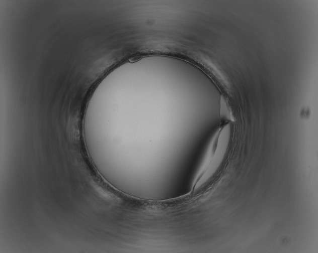 X0000089430489200707131847