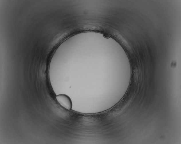X0000089430490200707131847