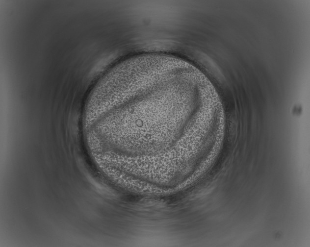 X0000089430491200707131847