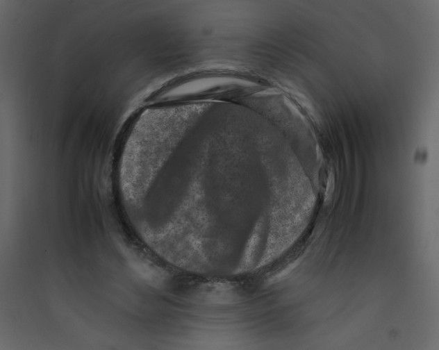 X0000089430492200707131847