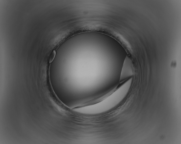 X0000089430493200707131847