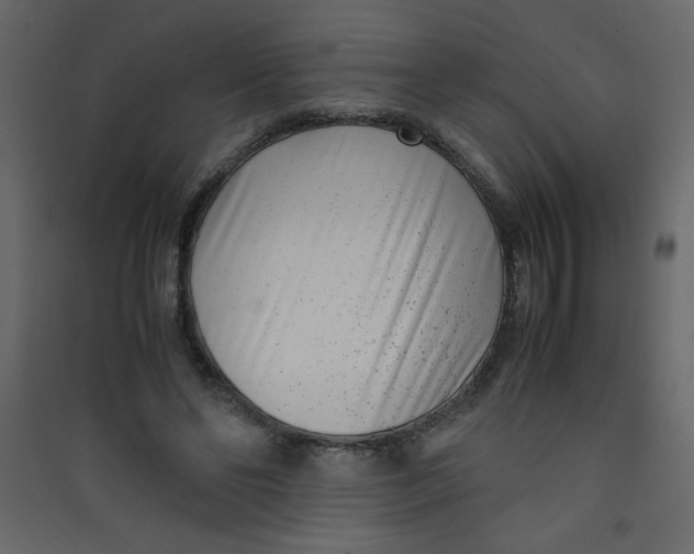 X0000089430494200707131847