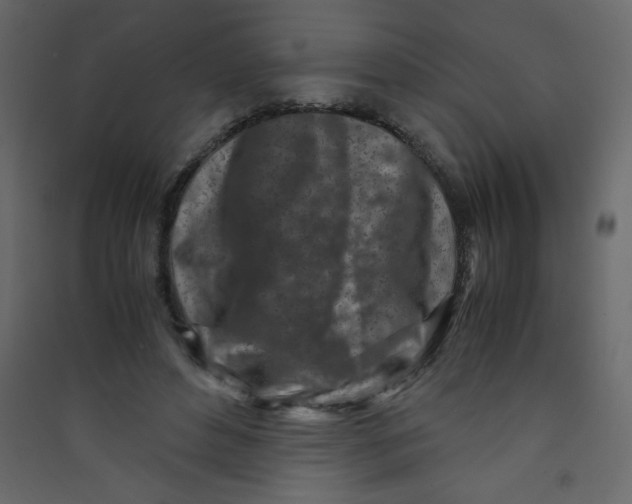 X0000089430496200707131847