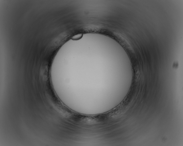 X0000089430498200707131847