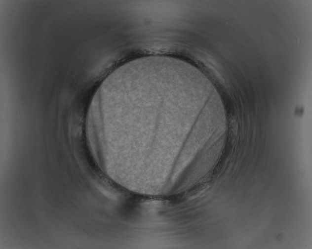 X0000089430499200707131847