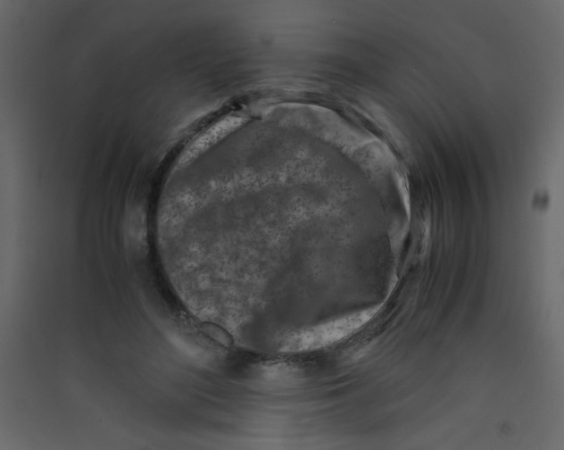 X0000089430500200707131847