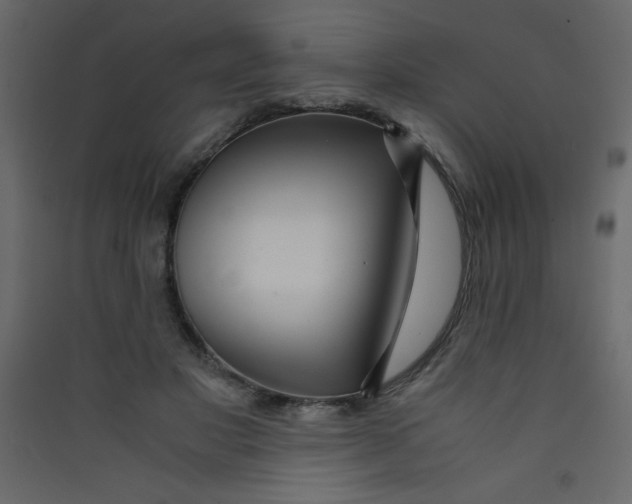 X0000089430501200707131847