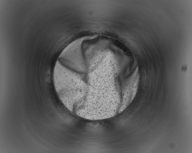 X0000089430502200707131847