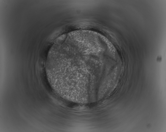 X0000089430503200707131847