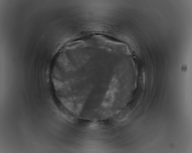 X0000089430504200707131847