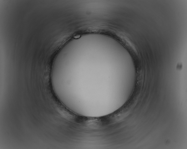 X0000089430505200707131847