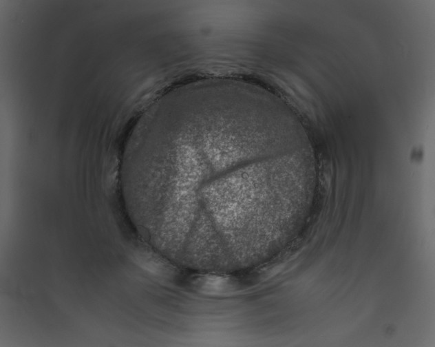 X0000089430507200707131847